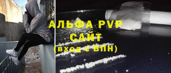 гидра Алексин