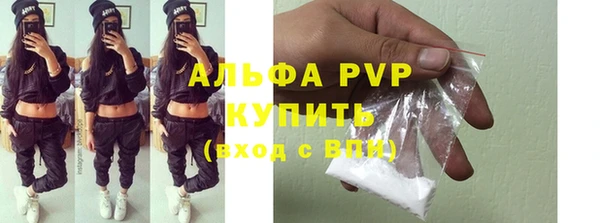 гидра Алексин