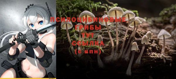 первитин Абаза