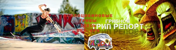 гидра Алексин
