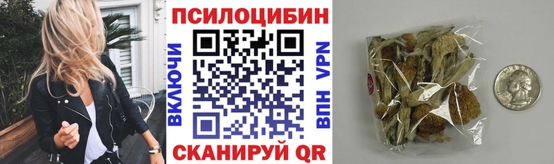 Галлюциногенные грибы Psilocybine cubensis  Духовщина 